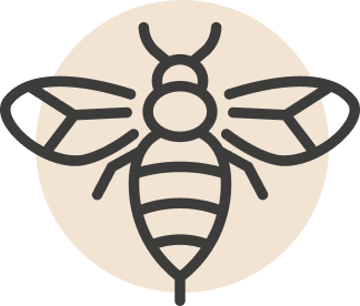 Biene Icon auf Hintergrund